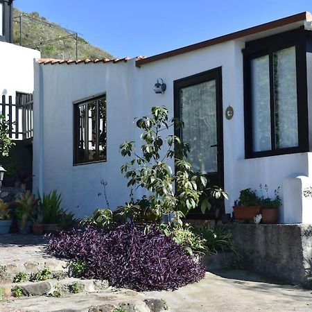 Tegueste Casita De La Montana De Mariaヴィラ エクステリア 写真
