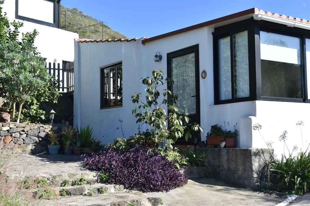 Tegueste Casita De La Montana De Mariaヴィラ エクステリア 写真