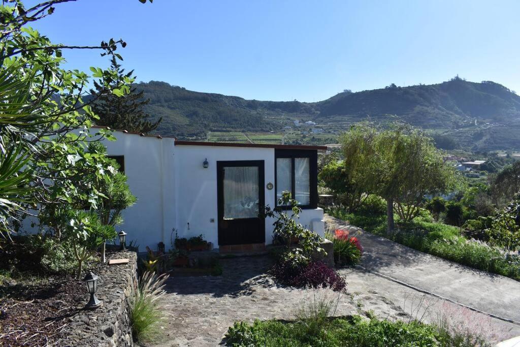 Tegueste Casita De La Montana De Mariaヴィラ エクステリア 写真
